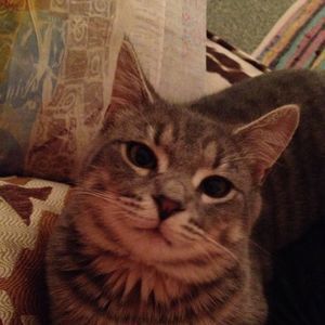 Meet your Posher, Margaret